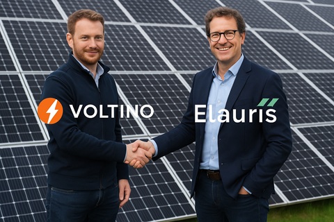 VOLTINO tombe dans l'escarcelle
d'ELAURIS