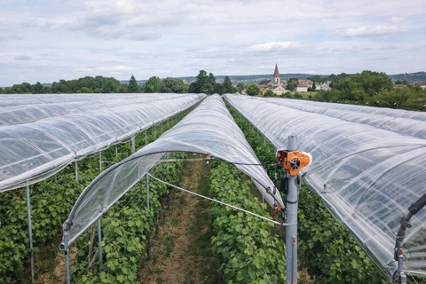 VITI-TUNNEL lève 2 M€ pour accélérer son
déploiement