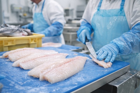 OCÉALLIANCE s'empare de la SOCIÉTÉ
NOUVELLE COFIMA