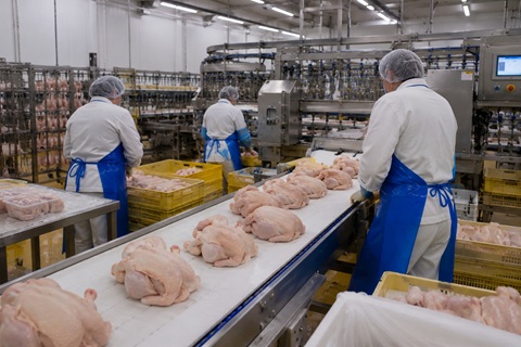 ALLIER VOLAILLES absorbe VEY et
consolide sa position sur le marché
français