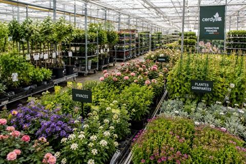 Le géant français de l’agriculture
TERRENA mise sur l’horticulture avec le
rachat de CERDYS