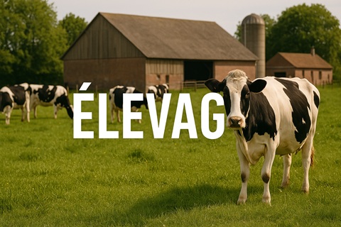 LES TOQUES BLANCHES DU MONDE rachètent
UFF